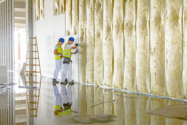 Best Insulation Installation Services in Homewood, AL